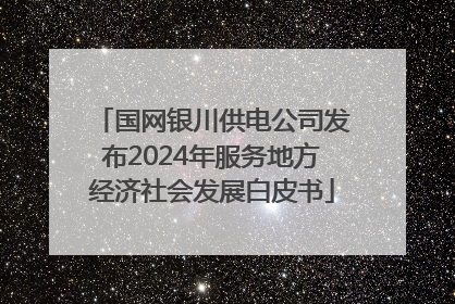 国网银川供电公司发布2024年服务地方经济社会发展白皮书